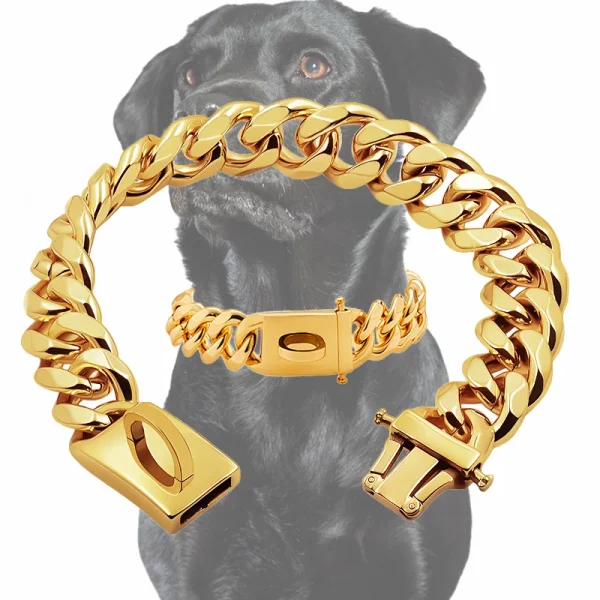 Gold Dog Collar Stainless Steel Metal Pet Choker Silver 19mm Wide Lead for Medium Large Dogs French bulldog Labrador Retriever